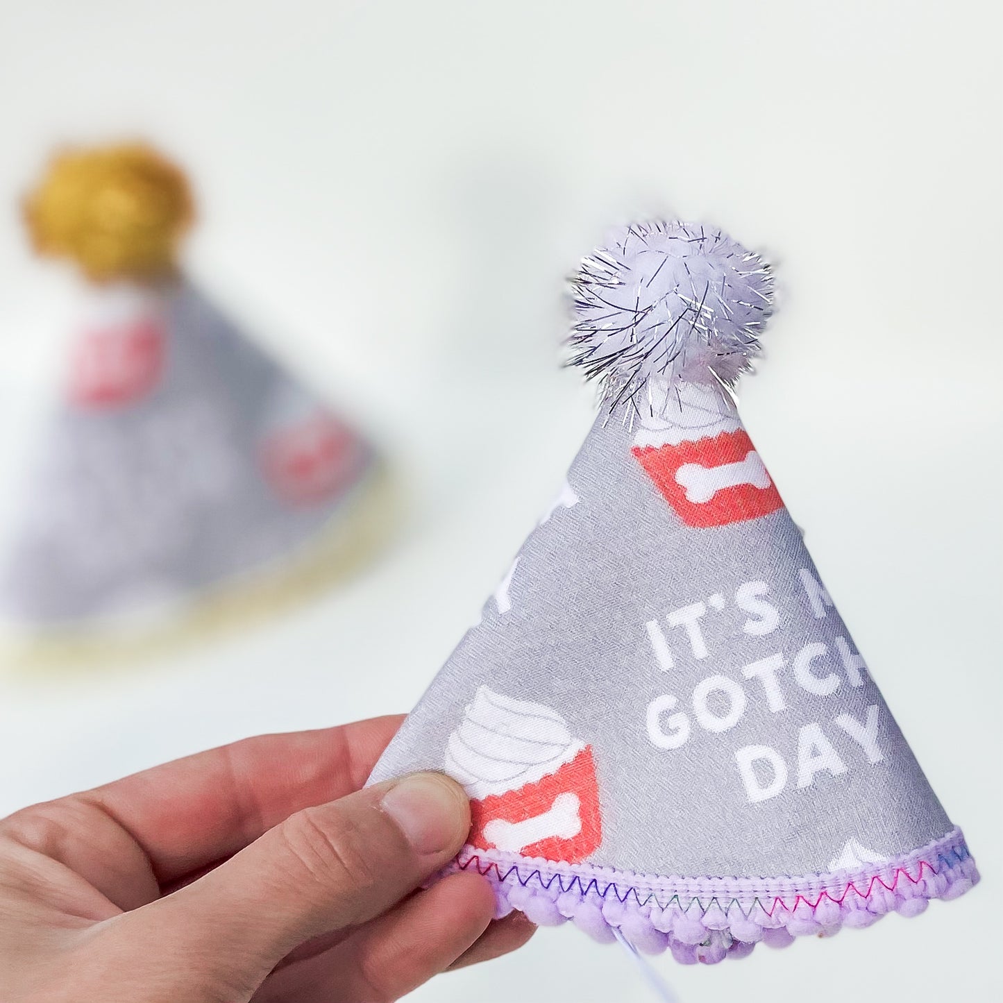 Pawty hat Gotcha day scarlet and gray dog birthday party