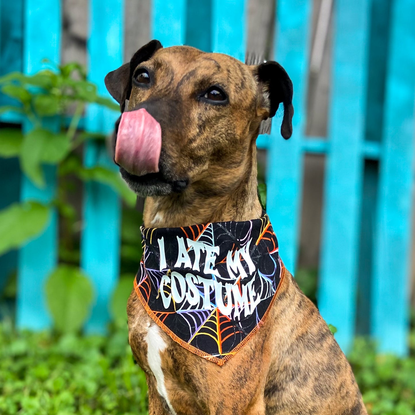 I ate my costume glow in the dark halloween dog bandana pet accessory