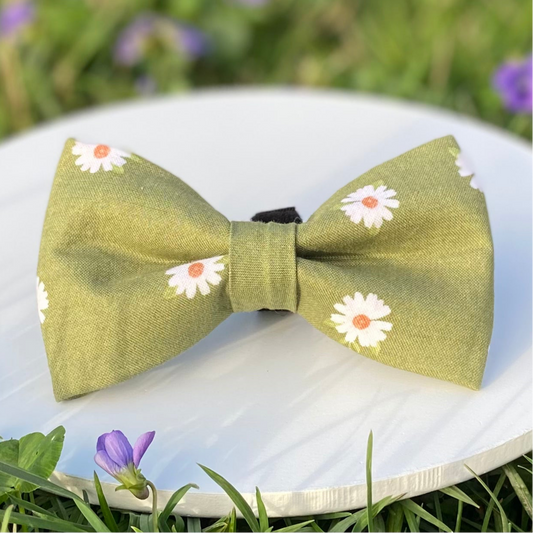 Boho green daisies dog bow accessory