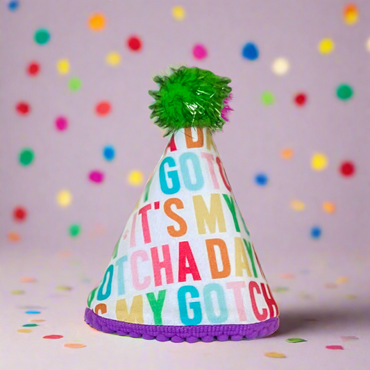 Bright rainbow Gotcha day Pawty hat dog birthday hat