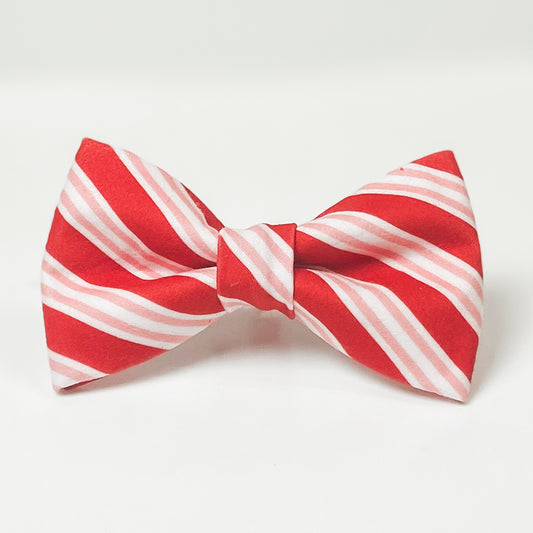 Peppermint stripes candy cane Christmas dog bow