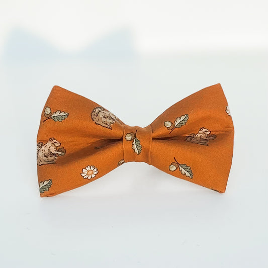 Nuts for fall pumpkin dog bow with squirrels and daisies