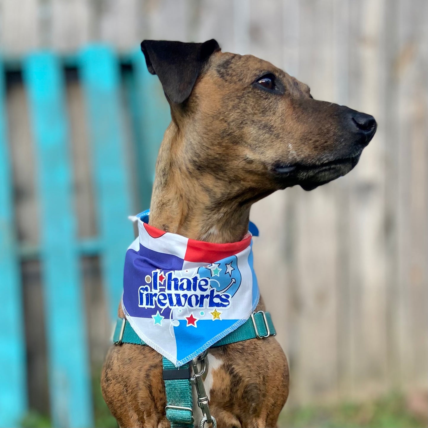 Fourth of July I hate fireworks dog bandana accessory