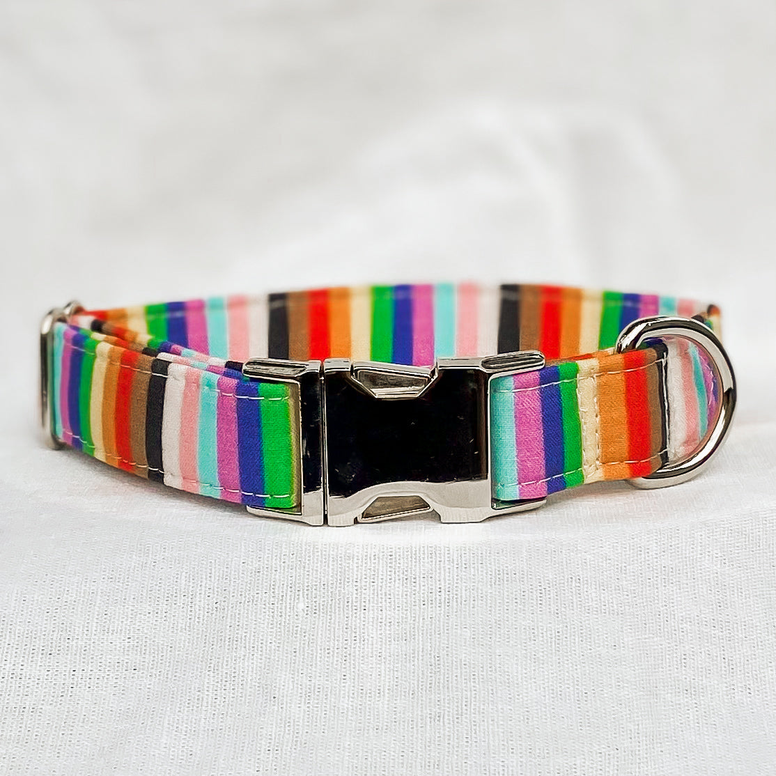 Progress pride flag stripes dog collar equality