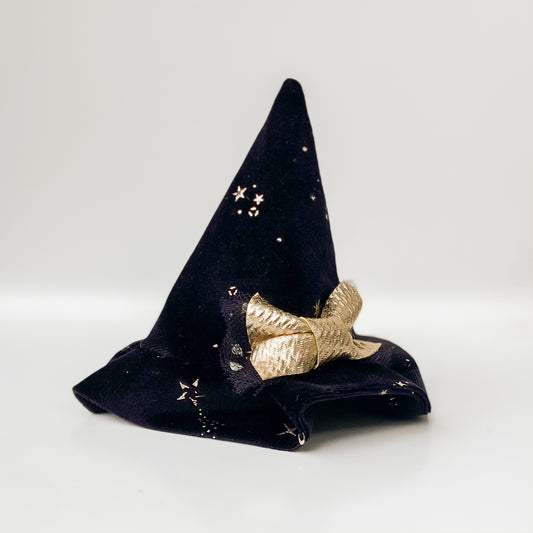 Celestial skies velvet witch hat dog halloween accessory