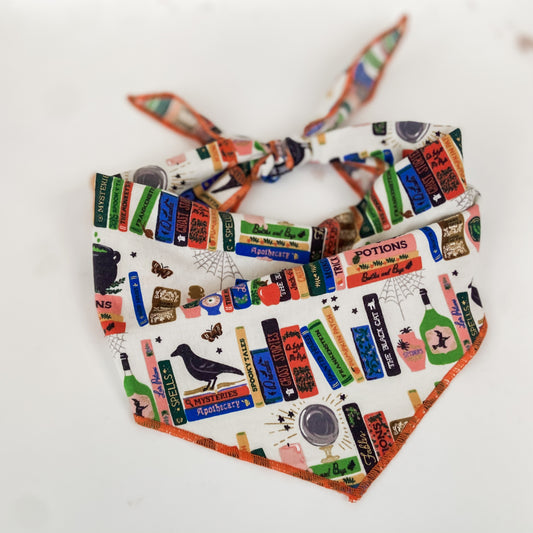Spooky Stories halloween dog bandana pet accessory
