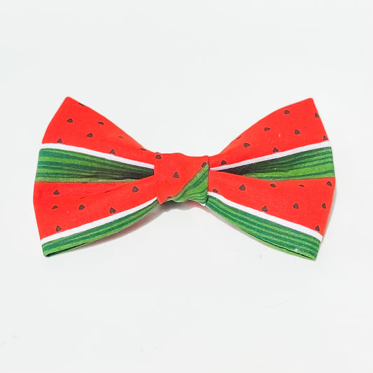 Watermelon fruit dog bow accessory