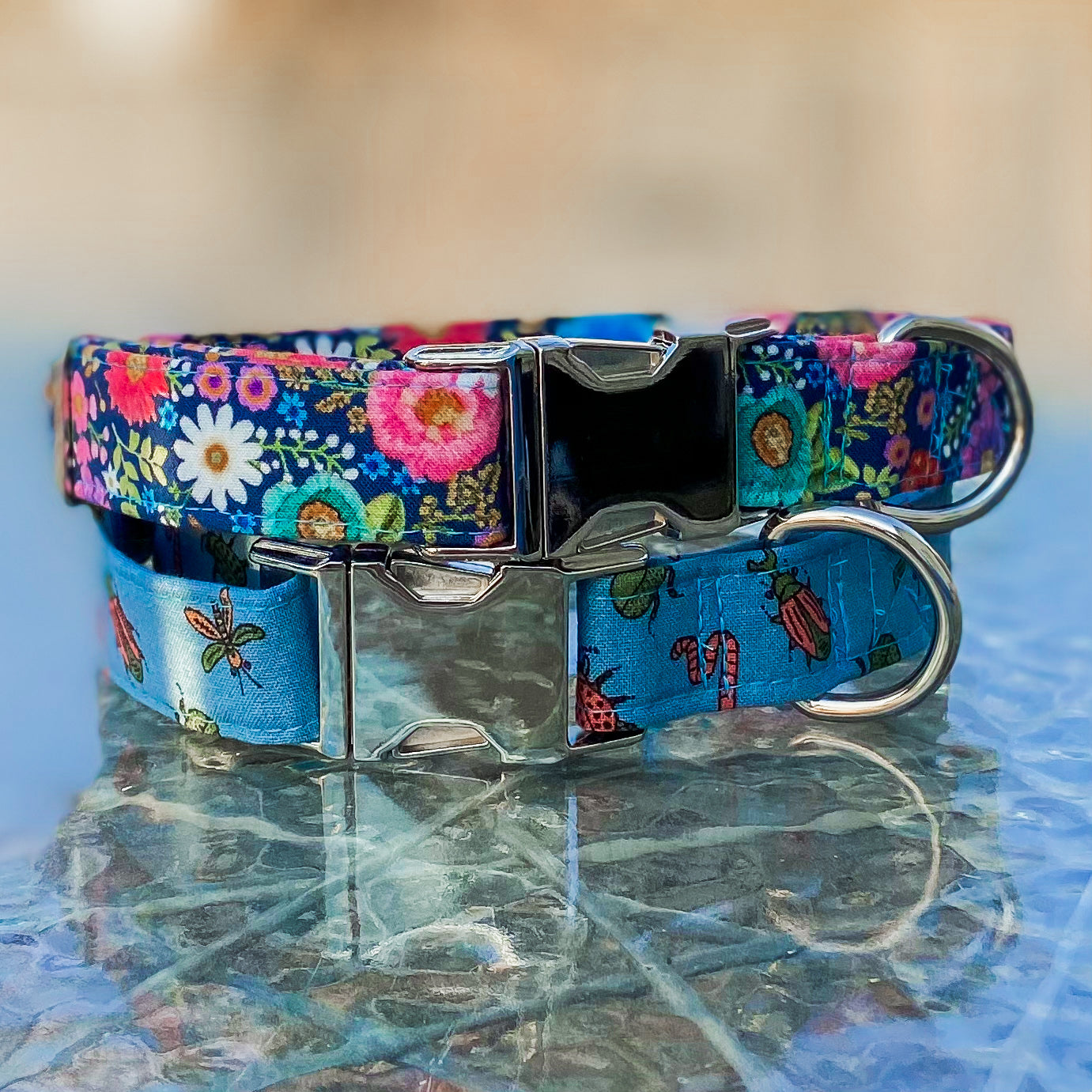 Buggin out colorful bugs and beetles dog collar
