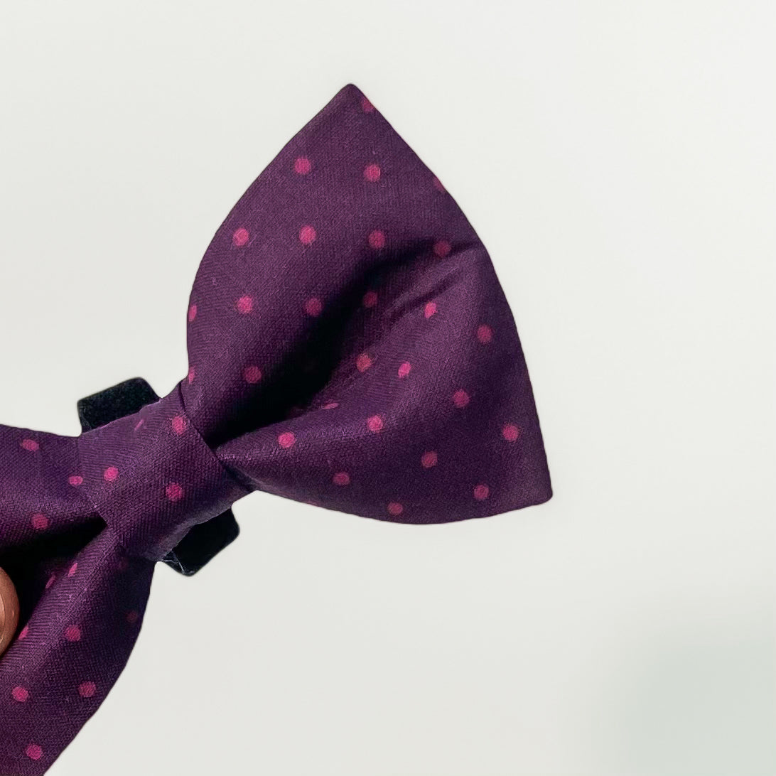Deep plum fall dog bow tie with berry colored pin dots