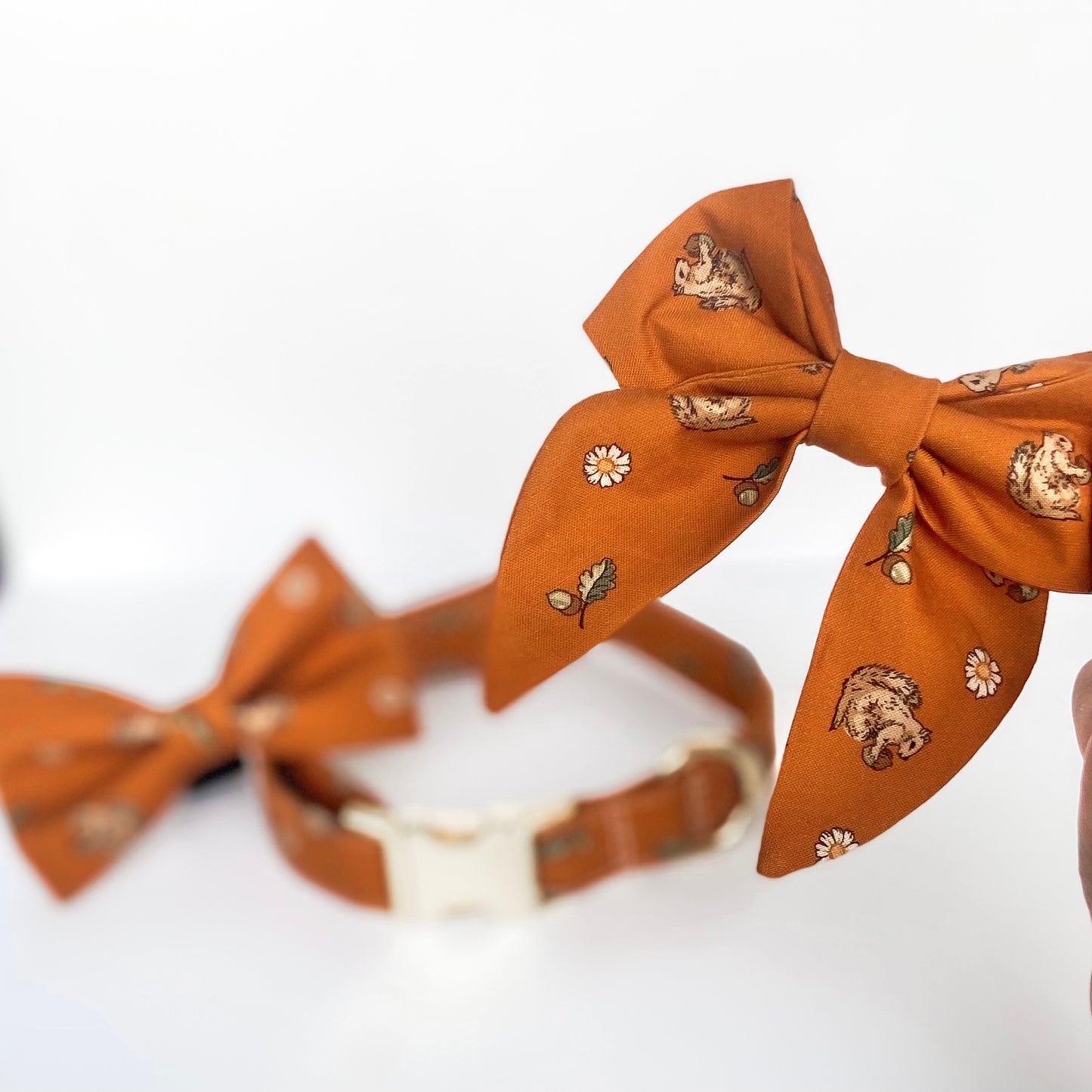 Nuts for fall pumpkin dog sailor bow accessory