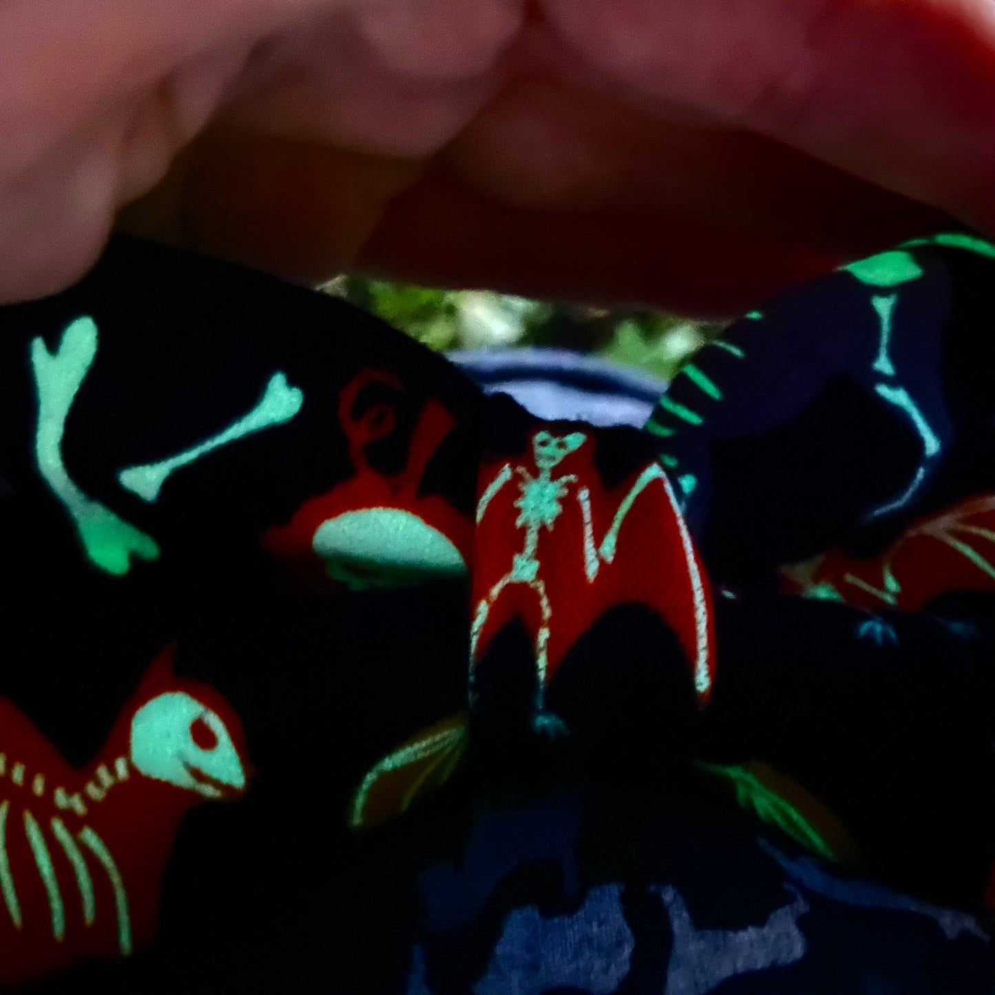 Glow in the dark skeleton Halloween dog bow tie
