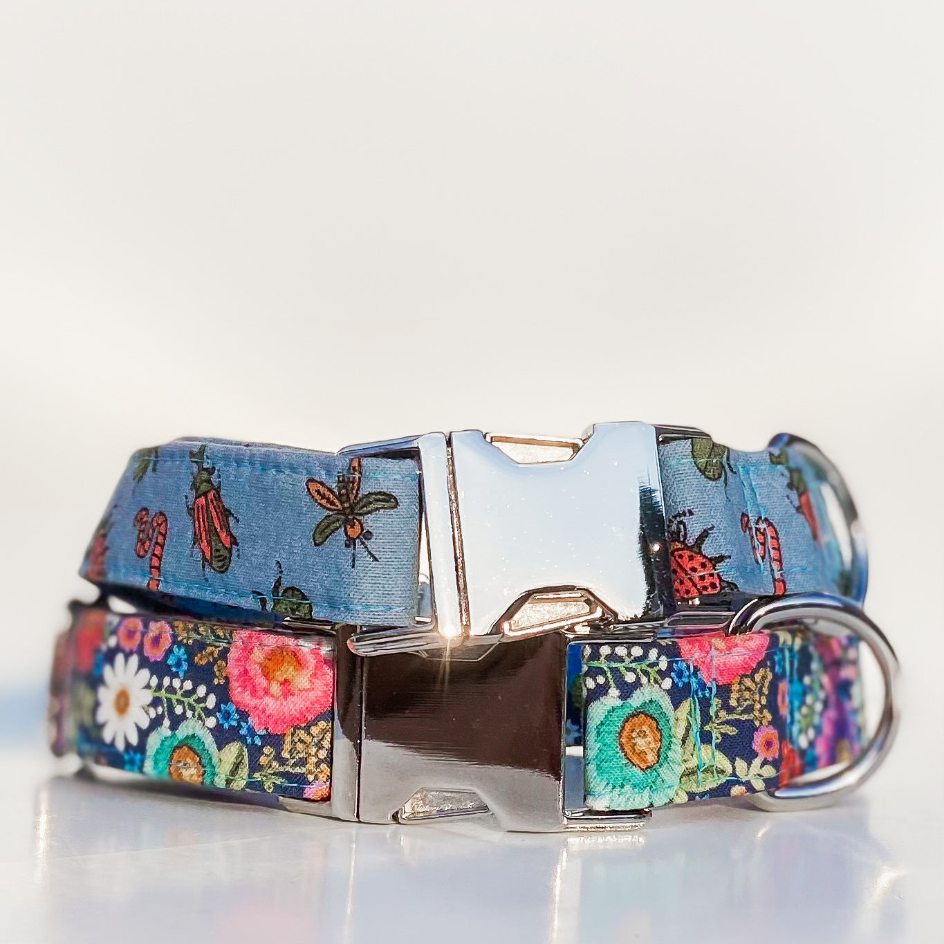 Buggin out colorful bugs and beetles dog collar