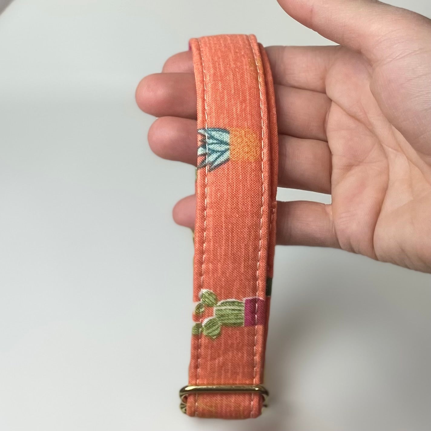 Houseplant peach terra cotta dog collar with houseplants