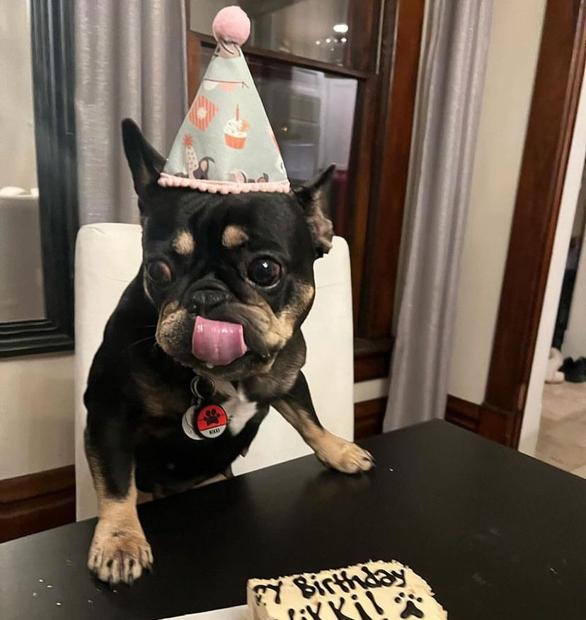 It’s my Barkday! Pawty pups pawty hat dog birthday