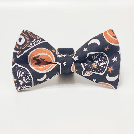 October 31 creatures dog bow tie