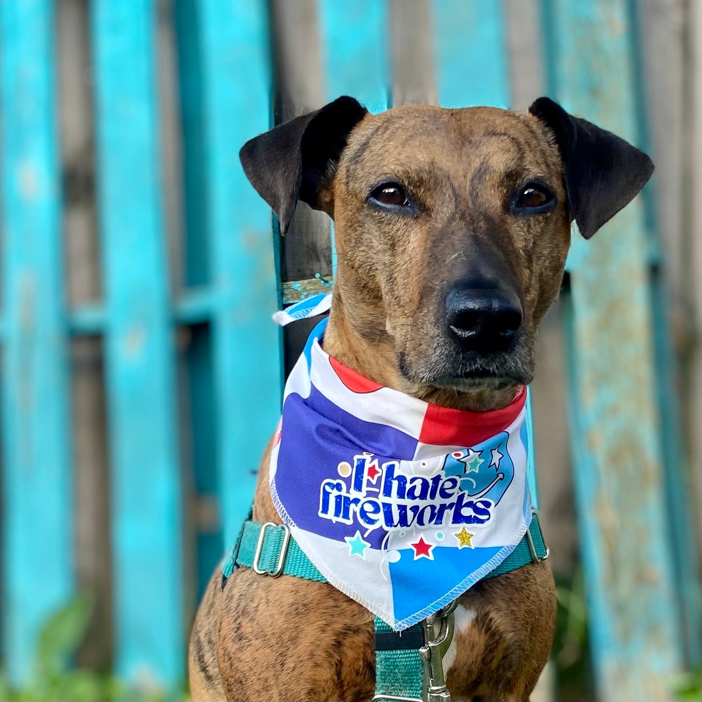 Fourth of July I hate fireworks dog bandana accessory