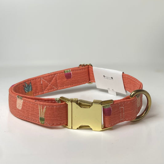 Houseplant peach terra cotta dog collar with houseplants
