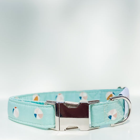 Beach ball aqua dog collar with silver hardware