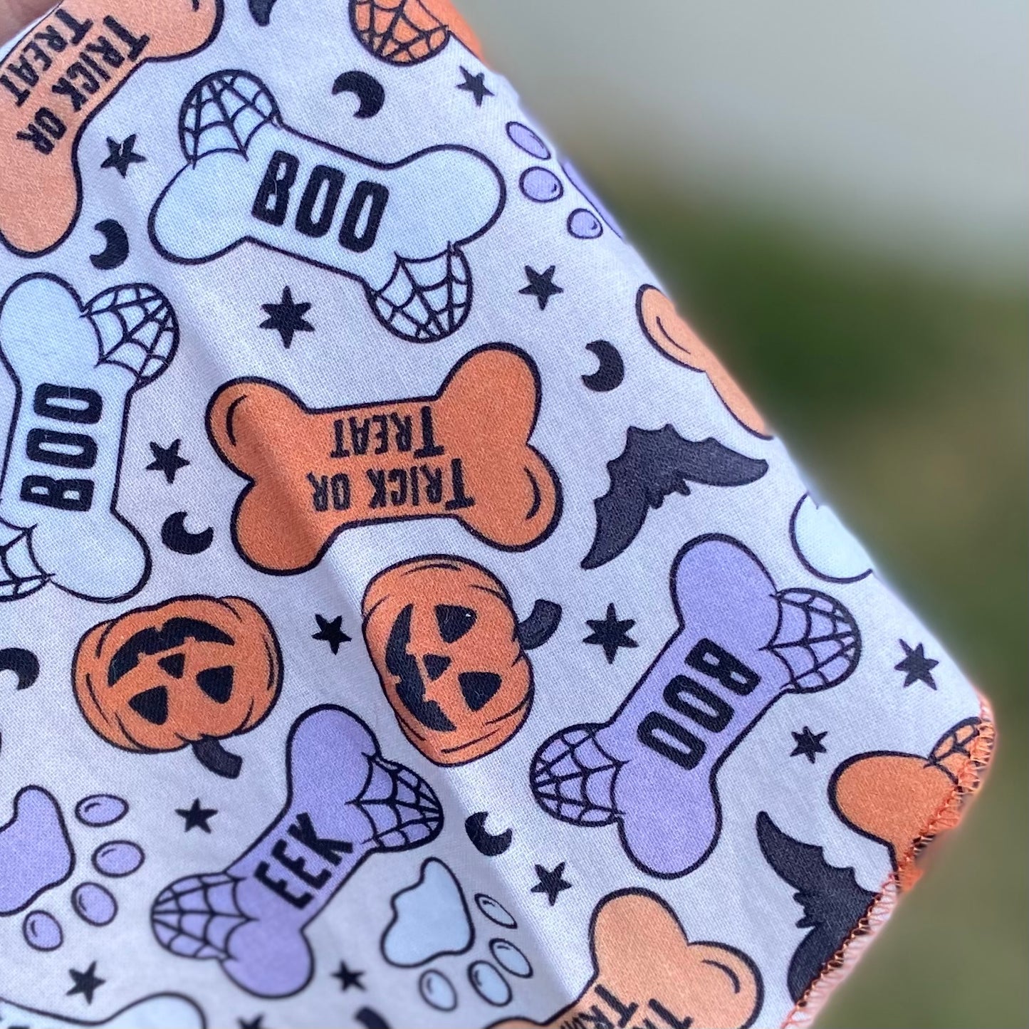 Bone appetit halloween dog bandana pet accessory