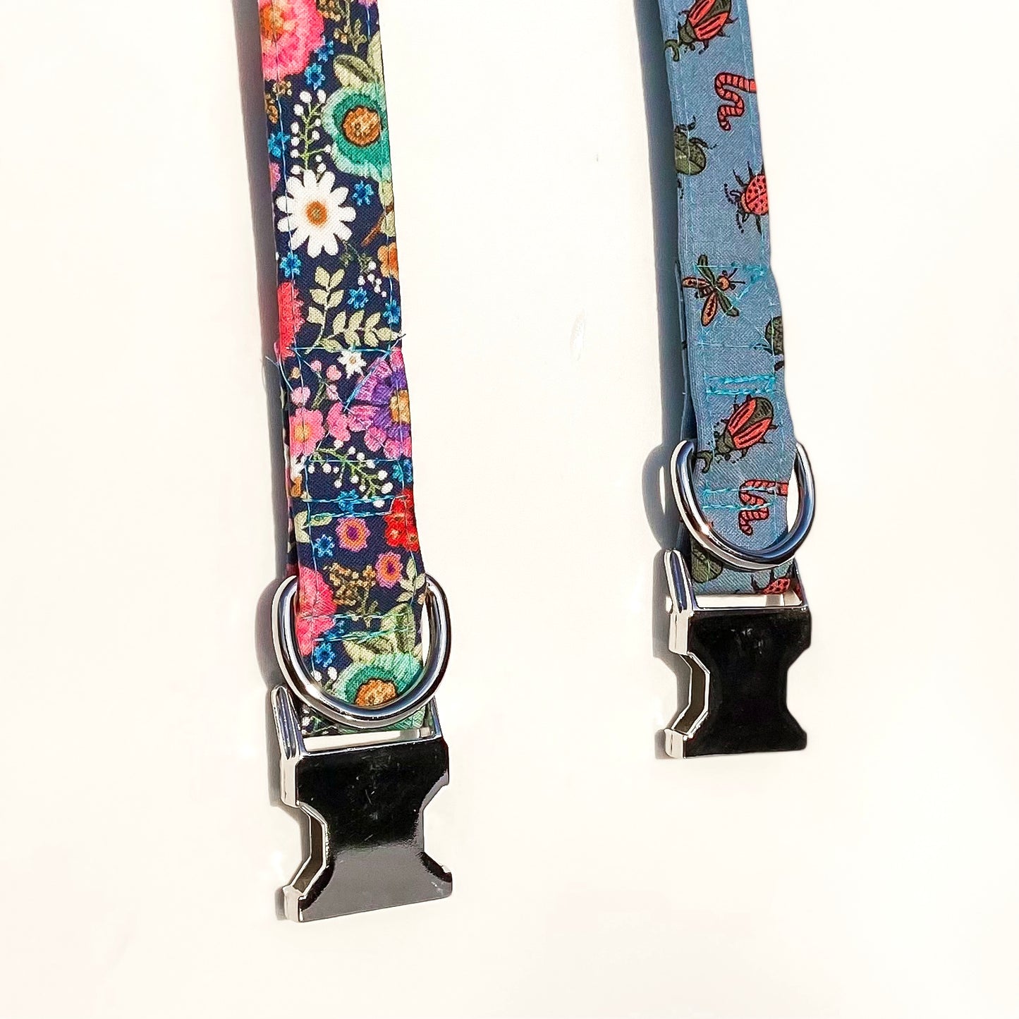 Buggin out colorful bugs and beetles dog collar