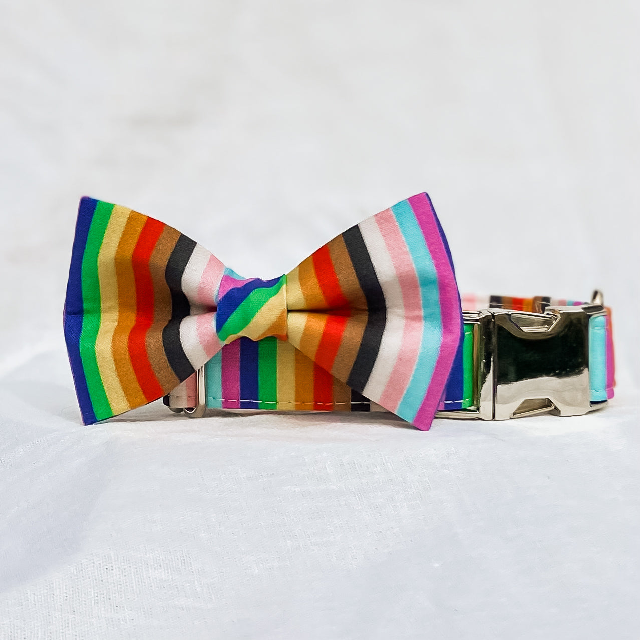 PRIDE dog bow tie progress pride flag stripes