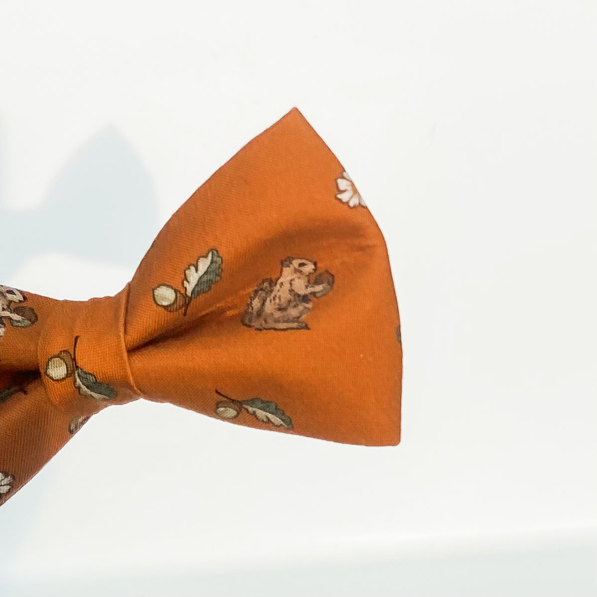 Nuts for fall pumpkin dog bow with squirrels and daisies