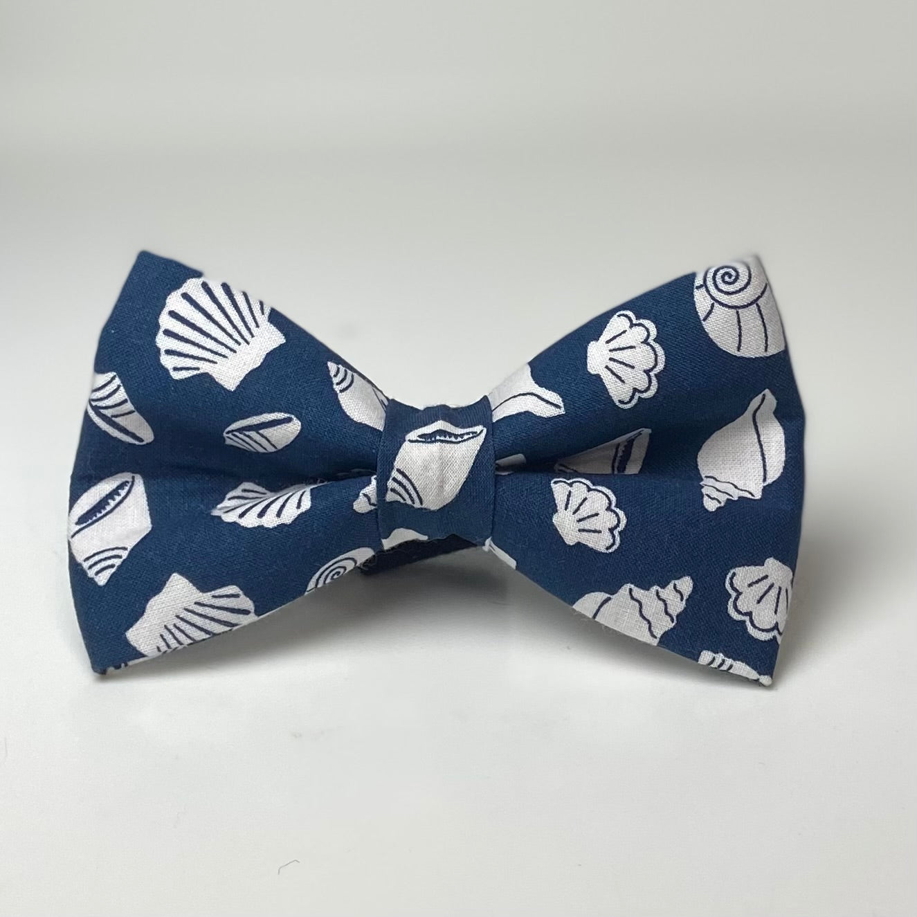 Seashells beach blue dog bow