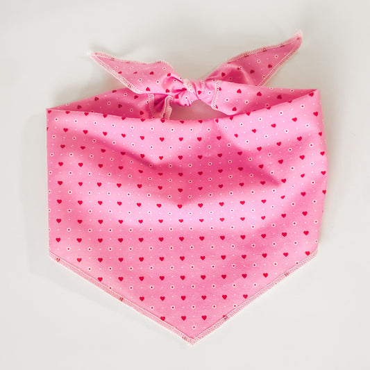 Be mine hearts and daisies valentine bandana pet accessory