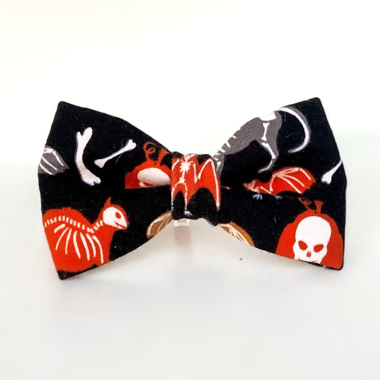 Glow in the dark skeleton Halloween dog bow tie