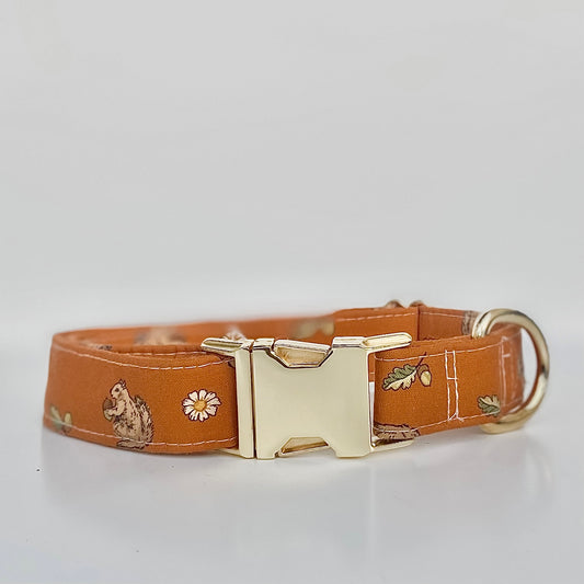 Nuts for fall dog collar pumpkin squirrels leaves and daisies