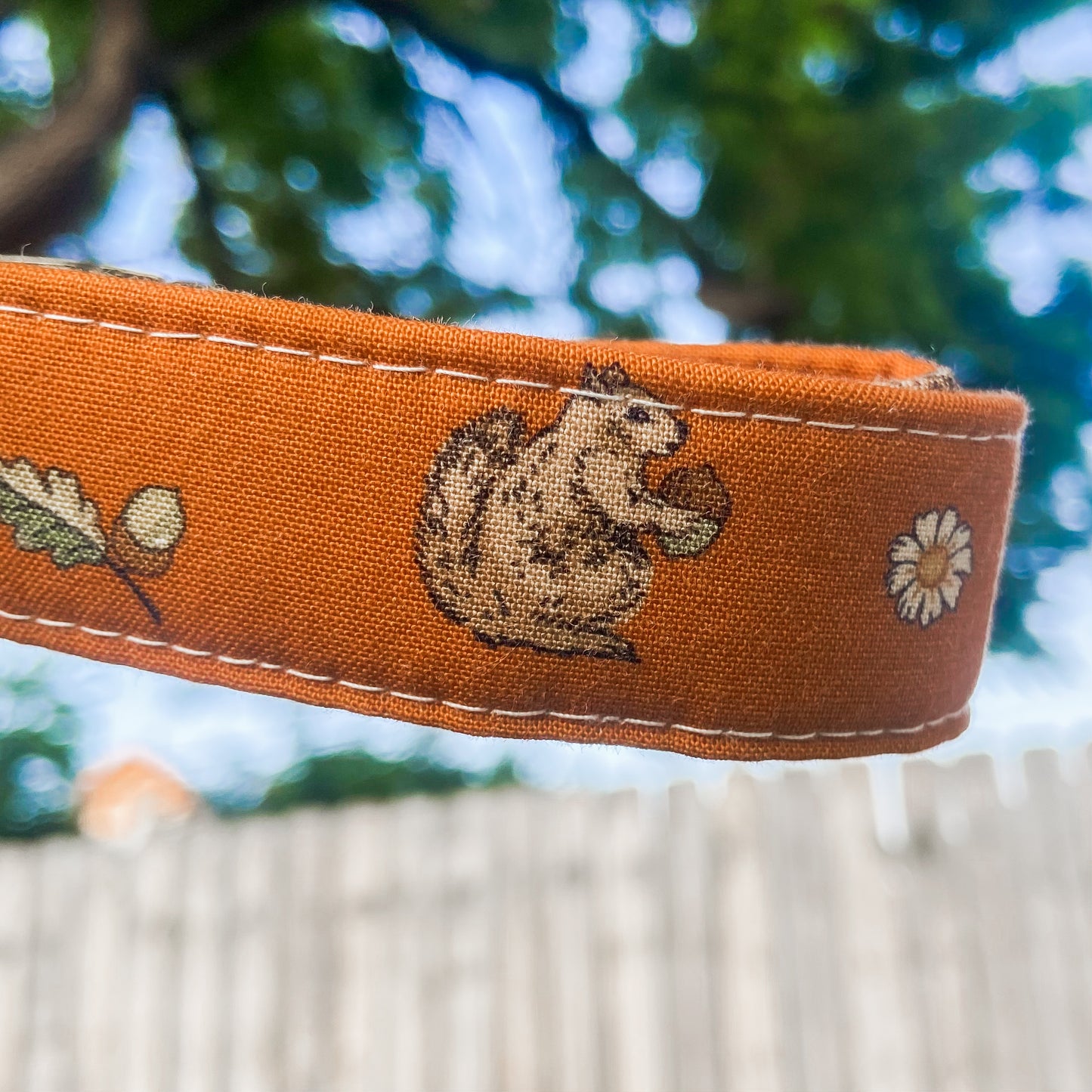 Nuts for fall dog collar pumpkin squirrels leaves and daisies