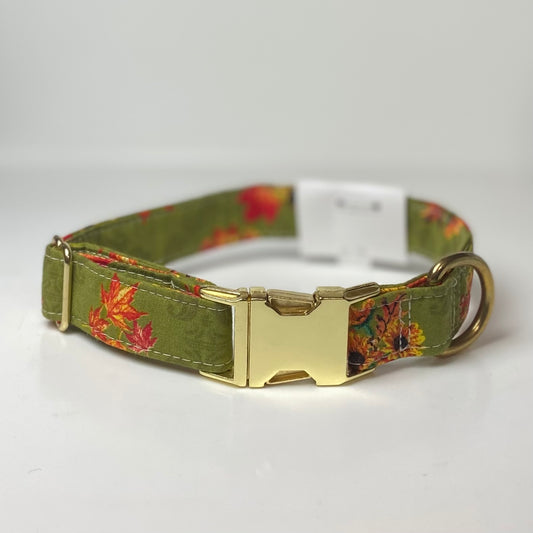 Fall harvest vintage pumpkin and sunflower print dog collar