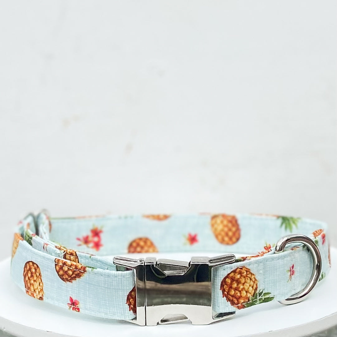 South Pacific tropical dog collar pineapple and hibiscus summer