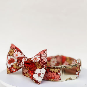 Groovy floral fall dog collar with gold buckle