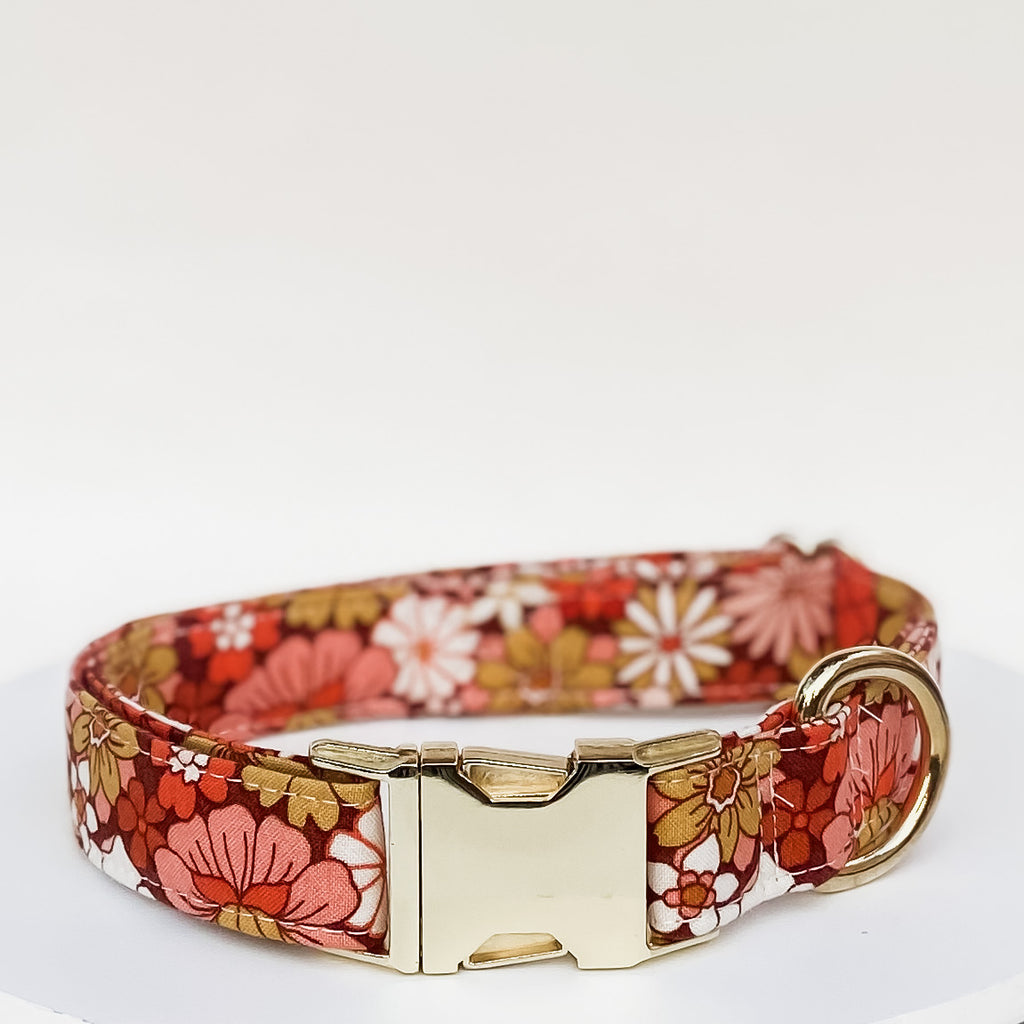 Groovy floral fall dog collar with gold buckle