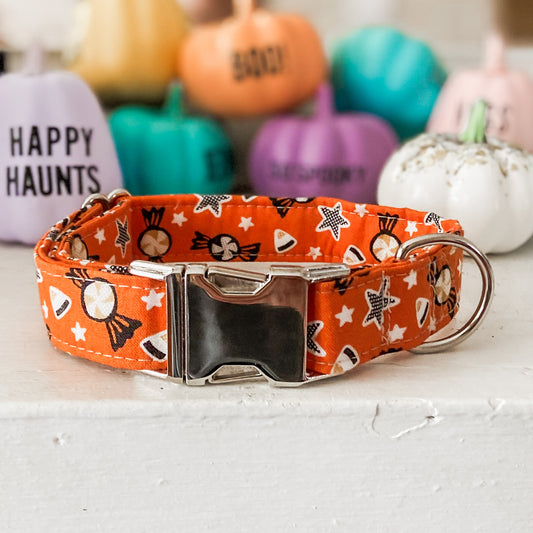 Trick or Treat orange Halloween dog collar with metal hardware