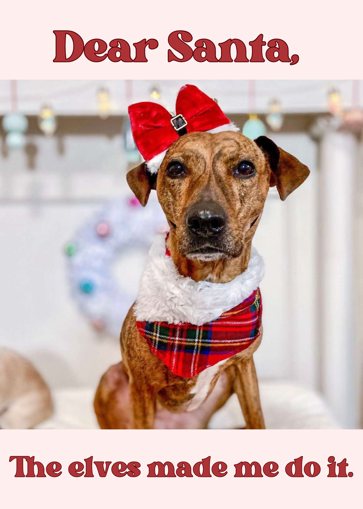 Santa Paws Christmas dog bow tie pet accessory