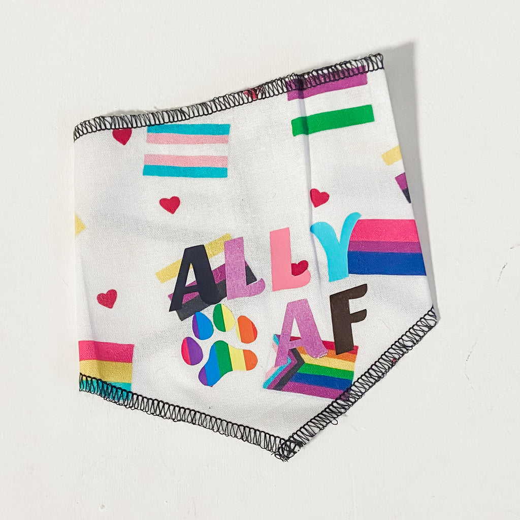Ally AF pride dog bandana