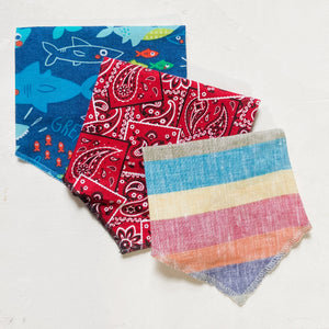 Set of 3 medium summer themed dog bandanas accessory
