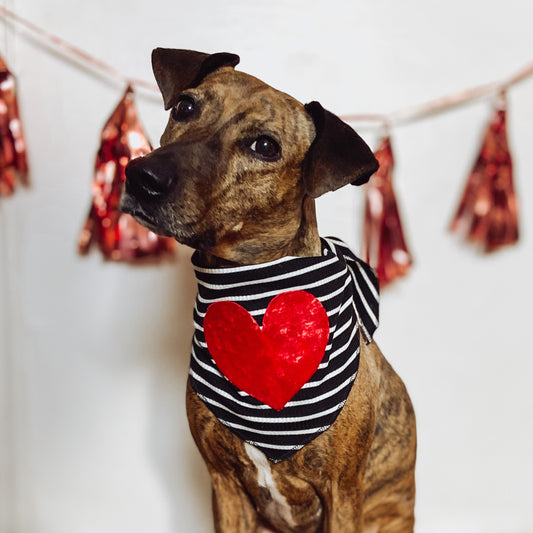 True Love red velvet dog valentine bandana pet accessory