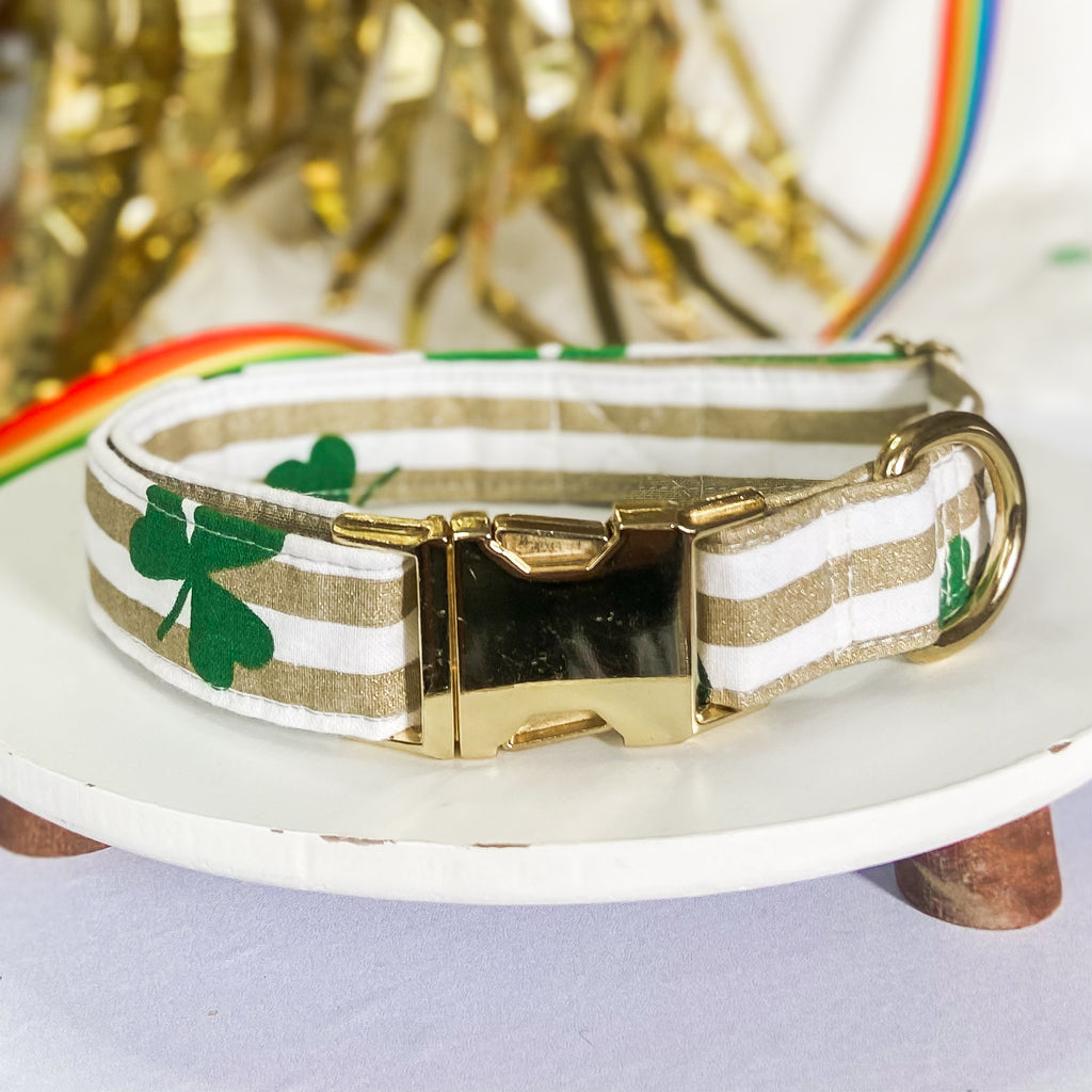Shamrock striped gold dog collar St Patricks day