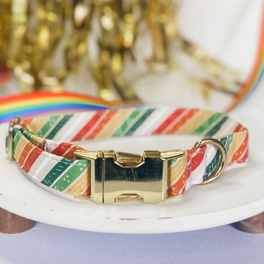 Irish rainbow St. Patricks day dog collar with gold buckle