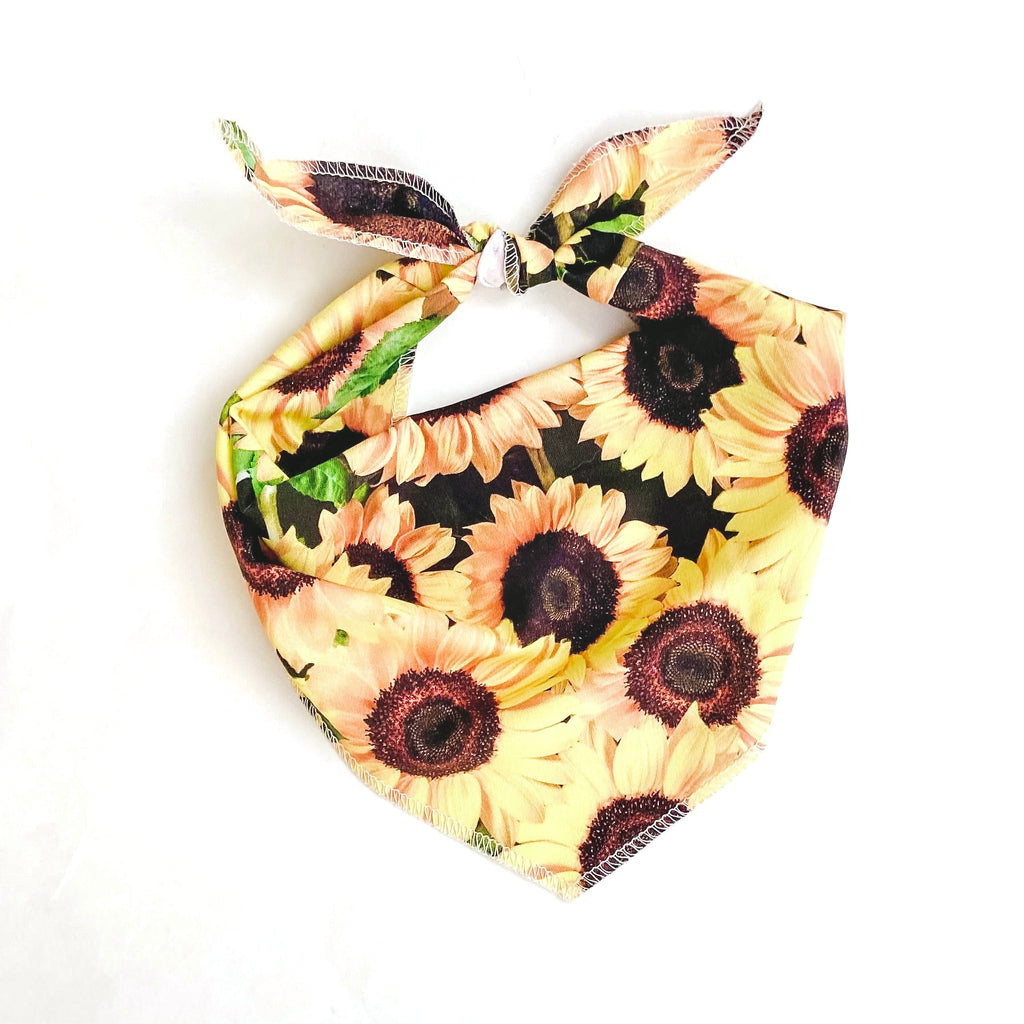 Sunflower field dog bandana