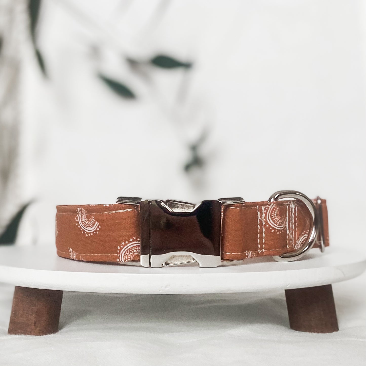 Rust boho mini rainbows dog collar with silver hardware