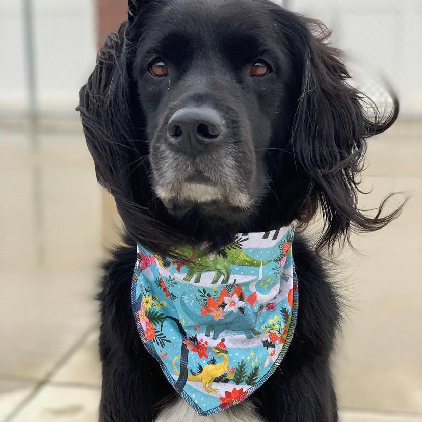 Cottage core dinosaur Christmas dog bandana pet accessory