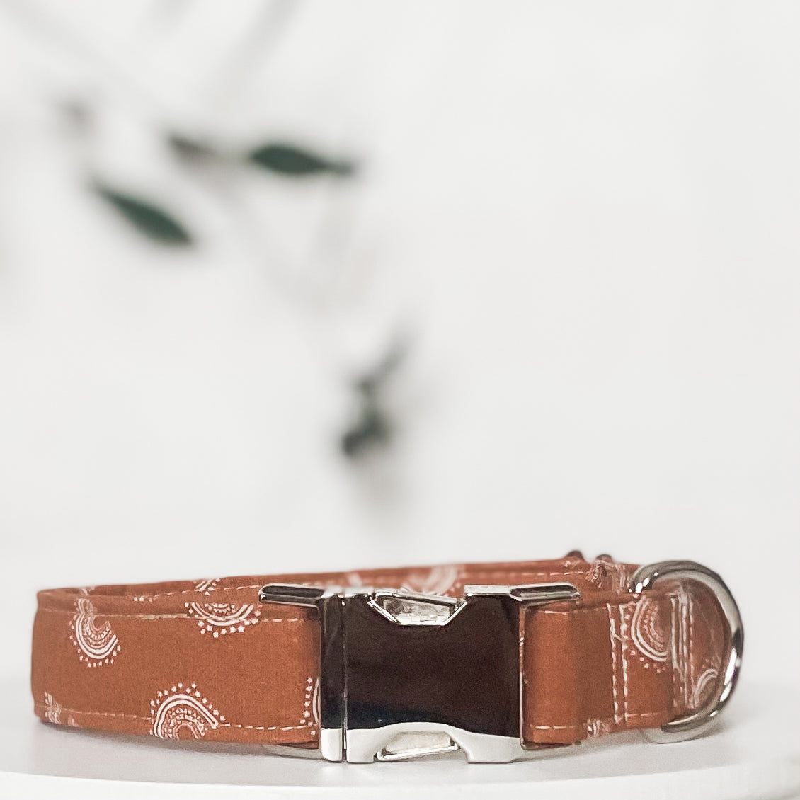 Rust boho mini rainbows dog collar with silver hardware