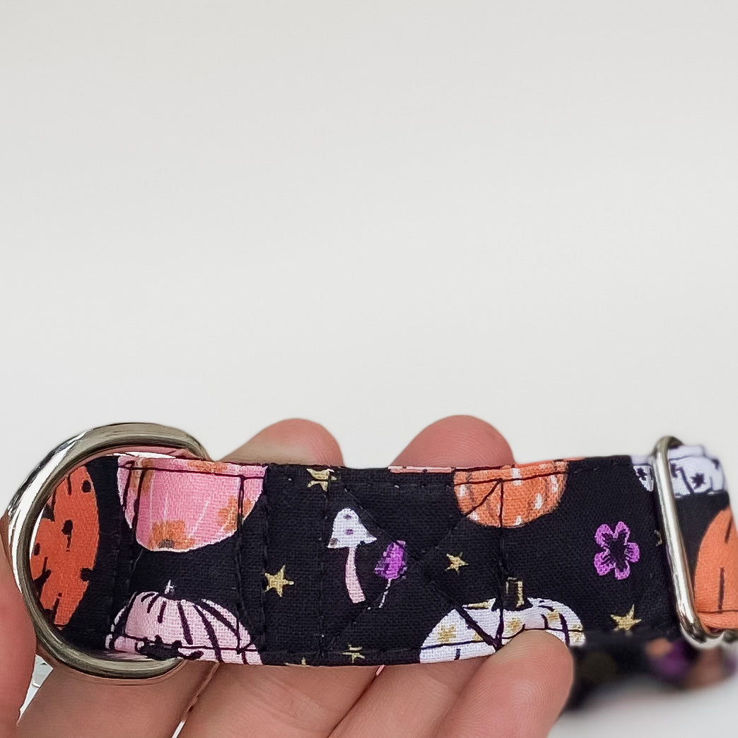 Witchy pumpkins Halloween dog collar with metal hardware