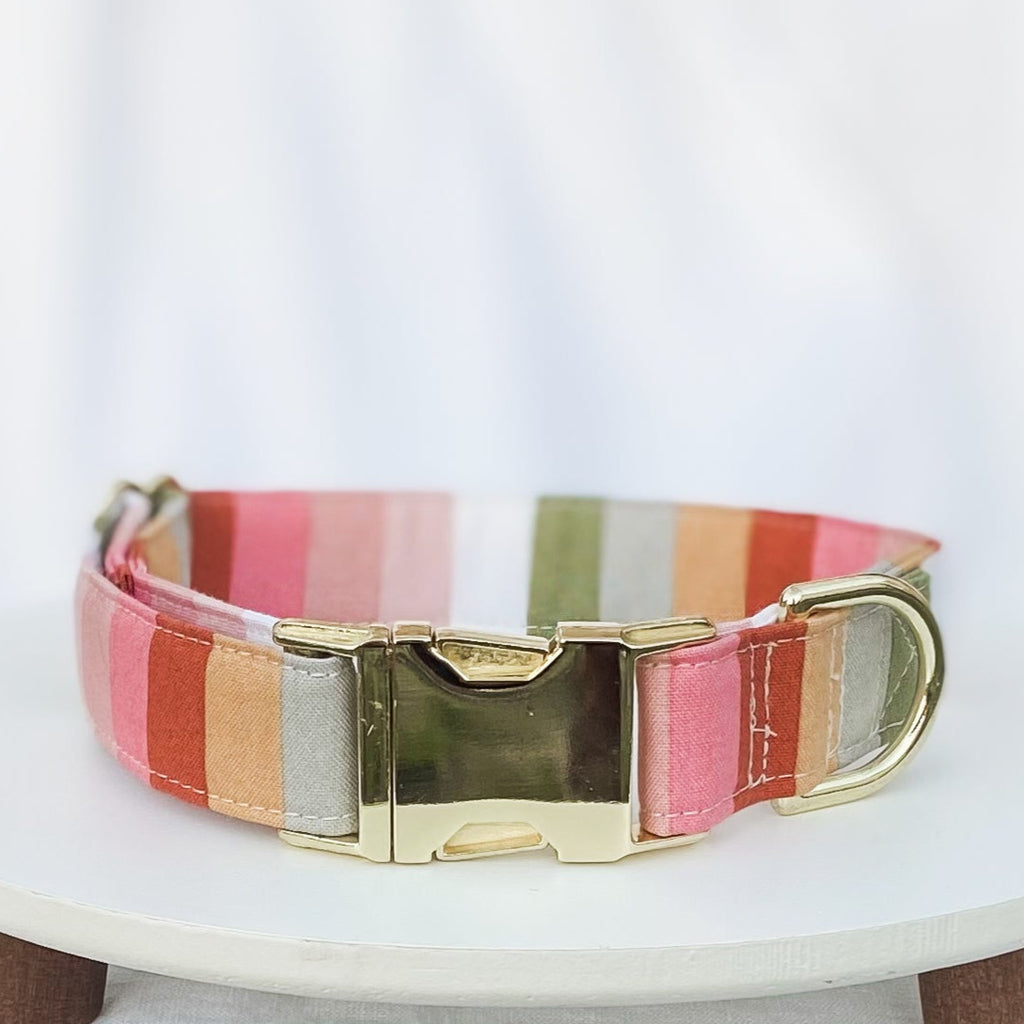 Boho bold stripes dog collar with gold hardware