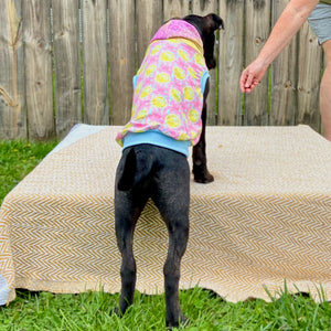 Mama’s main squeeze hooded dog shirt