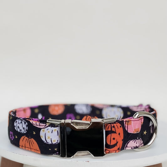 Witchy pumpkins Halloween dog collar with metal hardware